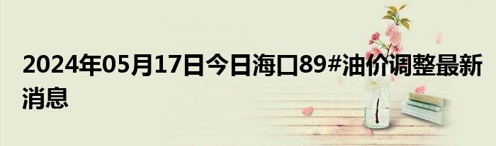 2024年05月17日今日海口89#油价调整最新消息