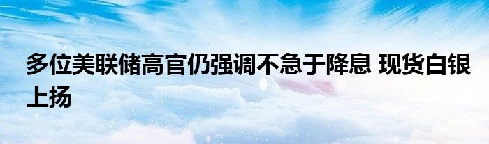 多位美联储高官仍强调不急于降息 现货白银上扬