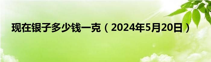 现在银子多少钱一克（2024年5月20日）