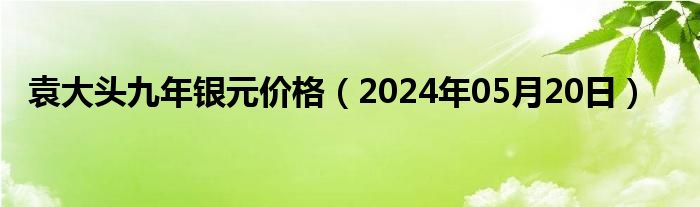 袁大头九年银元价格（2024年05月20日）