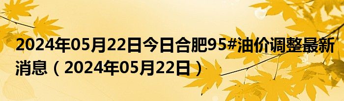 2024年05月22日今日合肥95#油价调整最新消息（2024年05月22日）