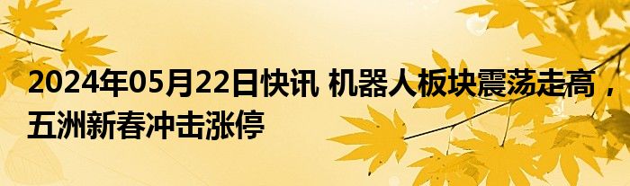 2024年05月22日快讯 机器人板块震荡走高，五洲新春冲击涨停