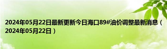 2024年05月22日最新更新今日海口89#油价调整最新消息（2024年05月22日）