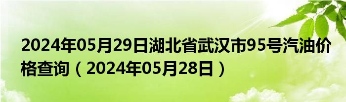 2024年05月29日湖北省武汉市95号汽油价格查询（2024年05月28日）