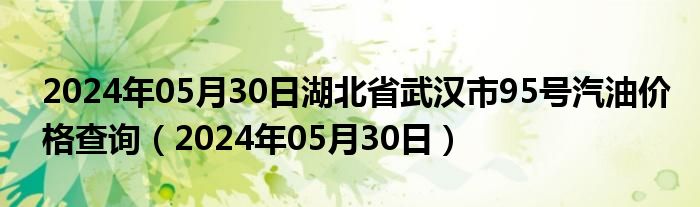 2024年05月30日湖北省武汉市95号汽油价格查询（2024年05月30日）