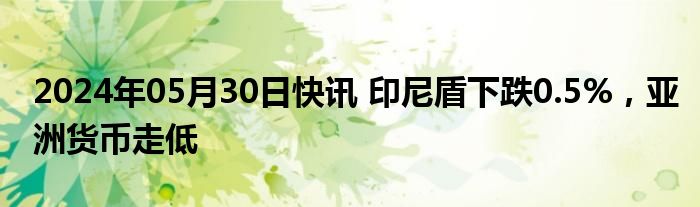 2024年05月30日快讯 印尼盾下跌0.5%，亚洲货币走低