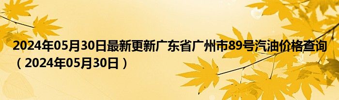 2024年05月30日最新更新广东省广州市89号汽油价格查询（2024年05月30日）