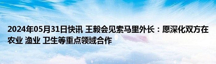 2024年05月31日快讯 王毅会见索马里外长：愿深化双方在农业 渔业 卫生等重点领域合作