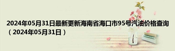 2024年05月31日最新更新海南省海口市95号汽油价格查询（2024年05月31日）