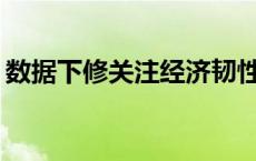 数据下修关注经济韧性叙事 白银TD走势下探