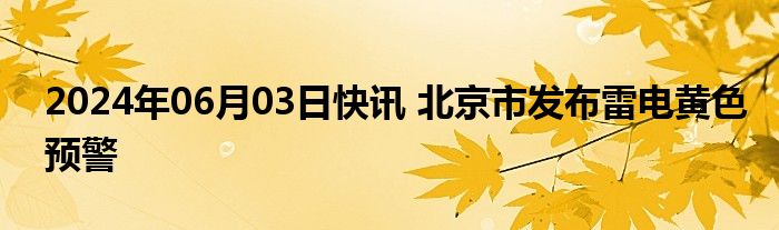 2024年06月03日快讯 北京市发布雷电黄色预警