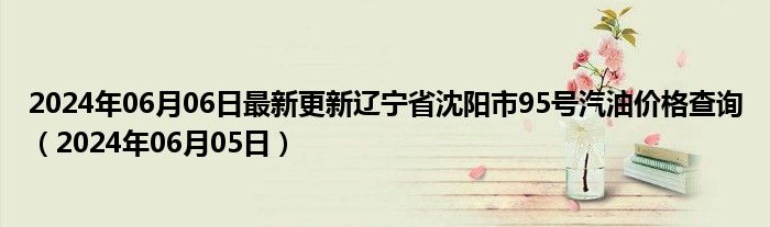 2024年06月06日最新更新辽宁省沈阳市95号汽油价格查询（2024年06月05日）