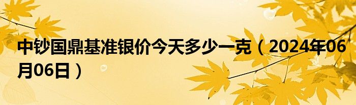 中钞国鼎基准银价今天多少一克（2024年06月06日）