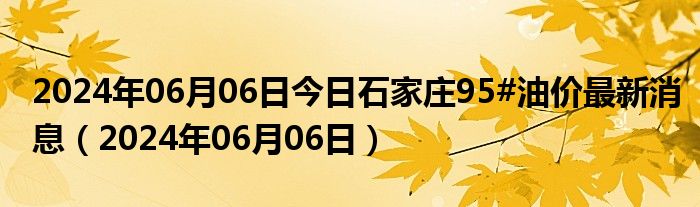 2024年06月06日今日石家庄95#油价最新消息（2024年06月06日）