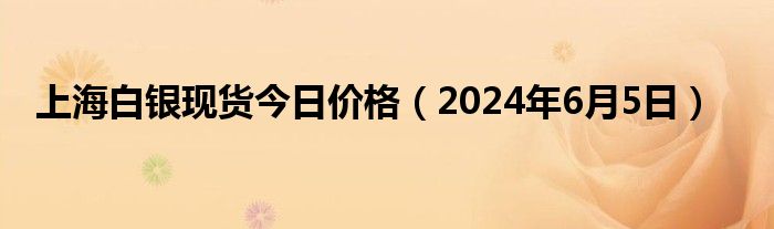 上海白银现货今日价格（2024年6月5日）