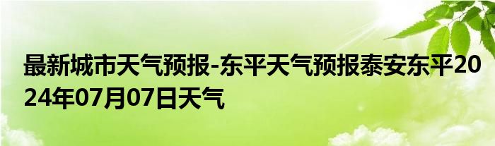 最新城市天气预报-东平天气预报泰安东平2024年07月07日天气