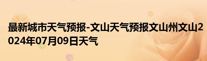 最新城市天气预报-文山天气预报文山州文山2024年07月09日天气