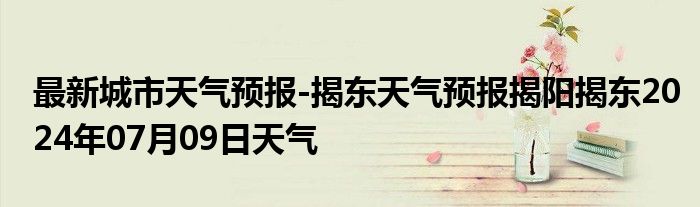 最新城市天气预报-揭东天气预报揭阳揭东2024年07月09日天气