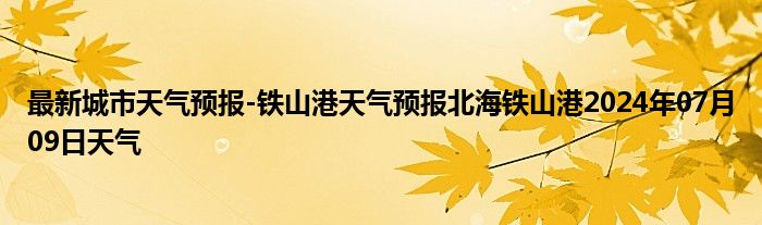 最新城市天气预报-铁山港天气预报北海铁山港2024年07月09日天气