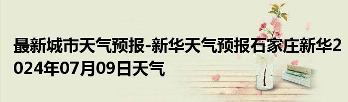 最新城市天气预报-新华天气预报石家庄新华2024年07月09日天气