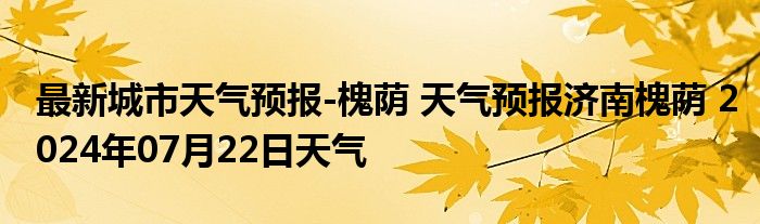 最新城市天气预报-槐荫 天气预报济南槐荫 2024年07月22日天气