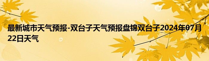 最新城市天气预报-双台子天气预报盘锦双台子2024年07月22日天气