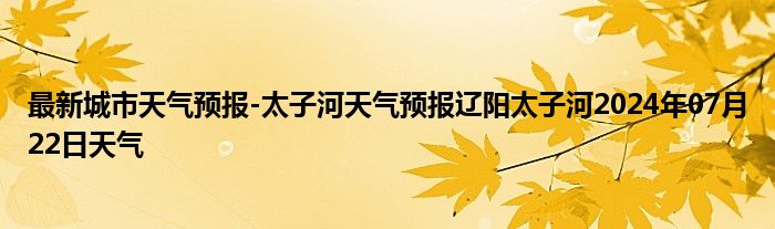 最新城市天气预报-太子河天气预报辽阳太子河2024年07月22日天气