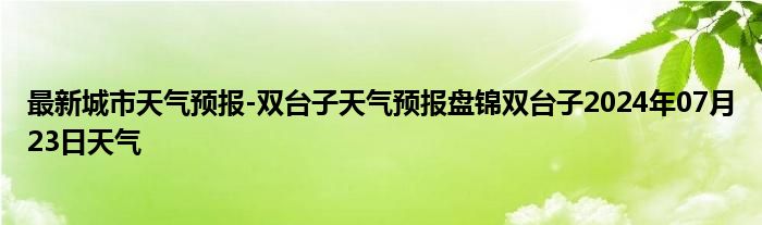 最新城市天气预报-双台子天气预报盘锦双台子2024年07月23日天气