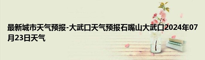 最新城市天气预报-大武口天气预报石嘴山大武口2024年07月23日天气