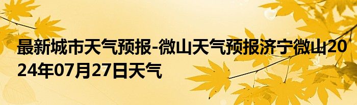 最新城市天气预报-微山天气预报济宁微山2024年07月27日天气