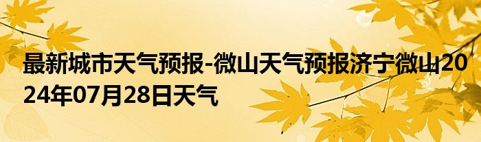 最新城市天气预报-微山天气预报济宁微山2024年07月28日天气