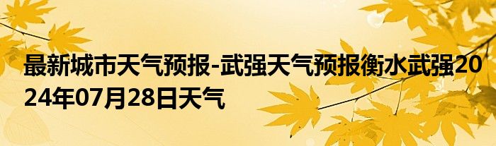 最新城市天气预报-武强天气预报衡水武强2024年07月28日天气