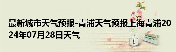 最新城市天气预报-青浦天气预报上海青浦2024年07月28日天气