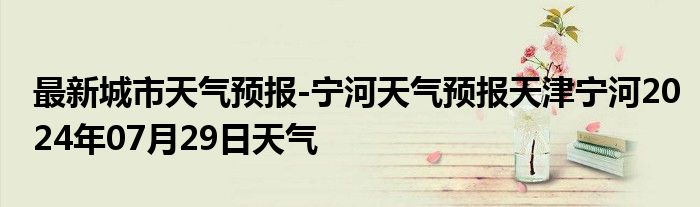 最新城市天气预报-宁河天气预报天津宁河2024年07月29日天气