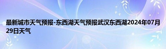 最新城市天气预报-东西湖天气预报武汉东西湖2024年07月29日天气