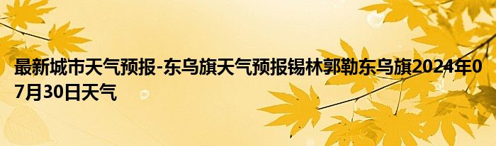 最新城市天气预报-东乌旗天气预报锡林郭勒东乌旗2024年07月30日天气