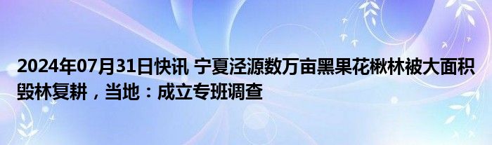 2024年07月31日快讯 宁夏泾源数万亩黑果花楸林被大面积毁林复耕，当地：成立专班调查