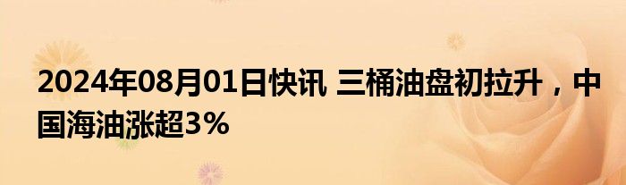 2024年08月01日快讯 三桶油盘初拉升，中国海油涨超3%