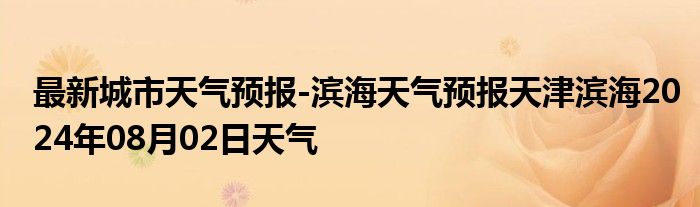 最新城市天气预报-滨海天气预报天津滨海2024年08月02日天气