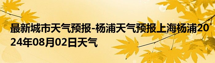 最新城市天气预报-杨浦天气预报上海杨浦2024年08月02日天气