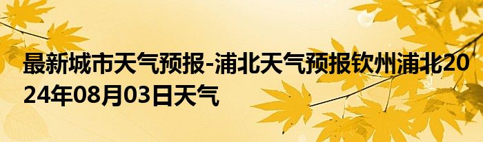 最新城市天气预报-浦北天气预报钦州浦北2024年08月03日天气