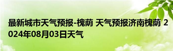 最新城市天气预报-槐荫 天气预报济南槐荫 2024年08月03日天气