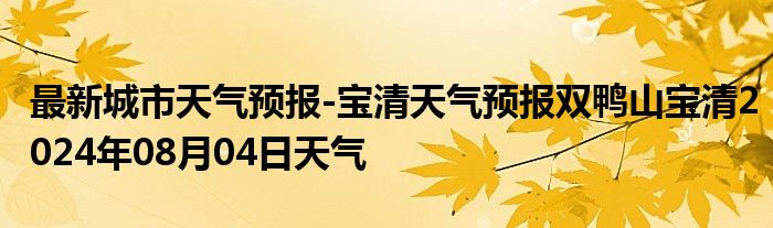 最新城市天气预报-宝清天气预报双鸭山宝清2024年08月04日天气