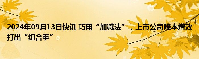 2024年09月13日快讯 巧用“加减法”，上市公司降本增效打出“组合拳”