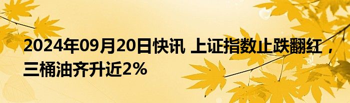 2024年09月20日快讯 上证指数止跌翻红，三桶油齐升近2%