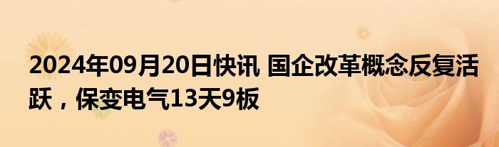 2024年09月20日快讯 国企改革概念反复活跃，保变电气13天9板