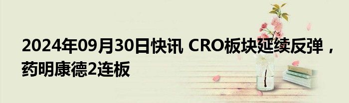 2024年09月30日快讯 CRO板块延续反弹，药明康德2连板