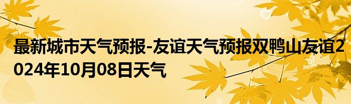 最新城市天气预报-友谊天气预报双鸭山友谊2024年10月08日天气