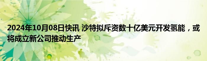 2024年10月08日快讯 沙特拟斥资数十亿美元开发氢能，或将成立新公司推动生产