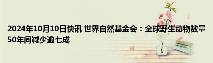 2024年10月10日快讯 世界自然基金会：全球野生动物数量50年间减少逾七成